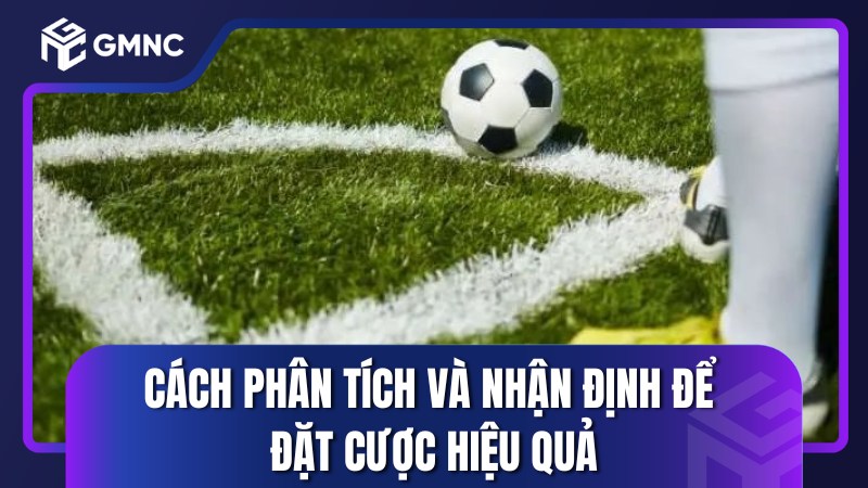 Cách phân tích và nhận định để đặt cược hiệu quả